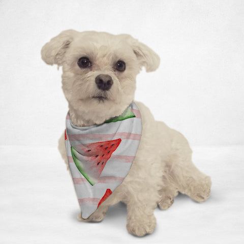 Juicy Watermelon Cat & Dog Bandana