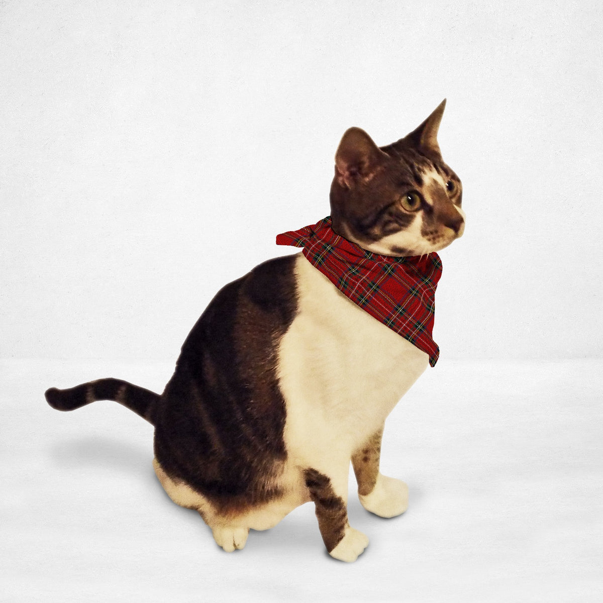 Red Plaid Cat & Dog Bandanna