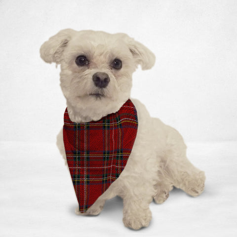 Red Plaid Cat & Dog Bandanna