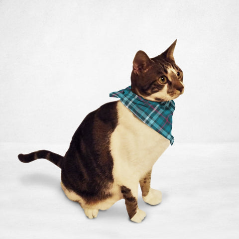 Teal Plaid Cat & Dog Bandana