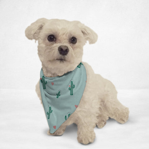 Cactus Cat & Dog Bandana