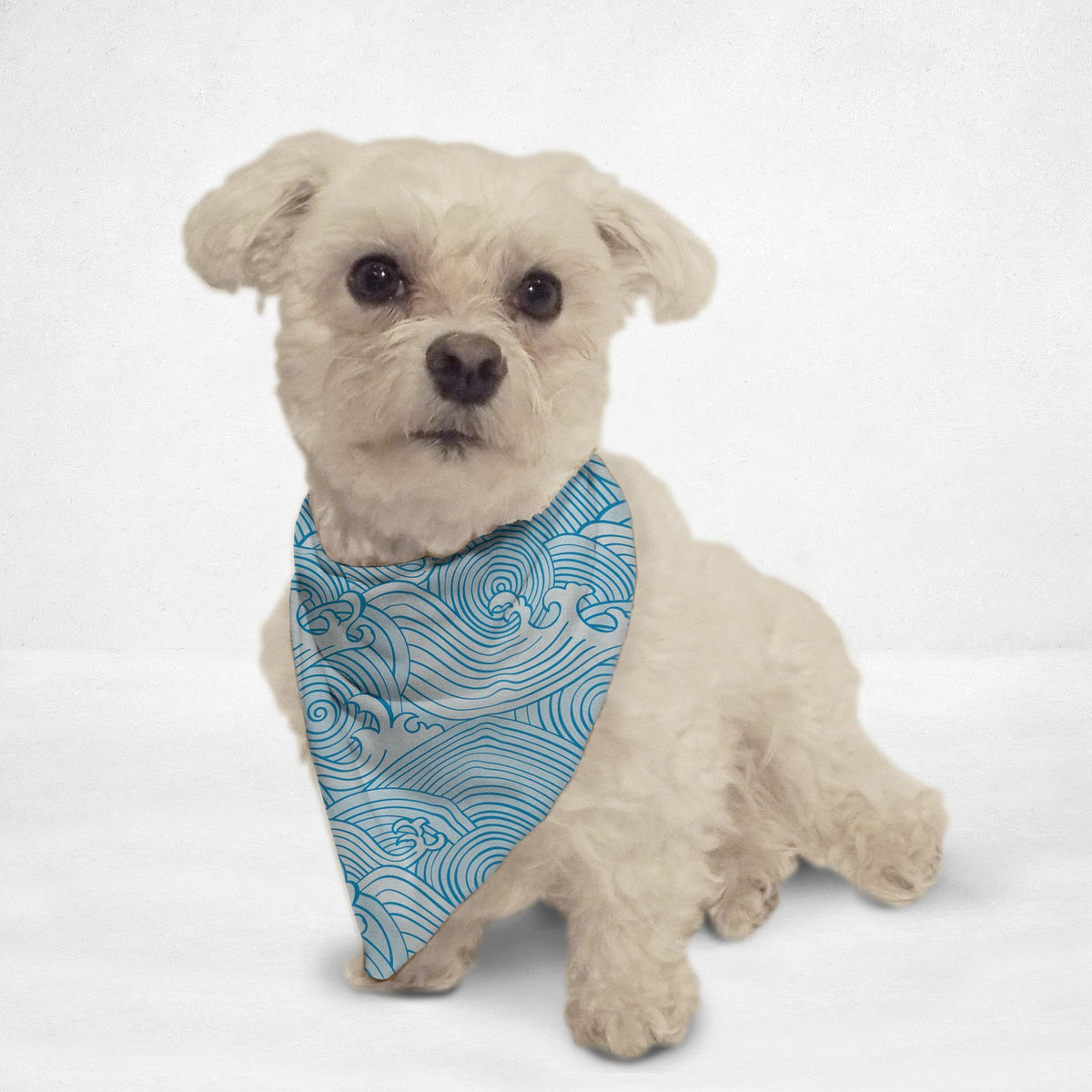 Waves Cat & Dog Bandana