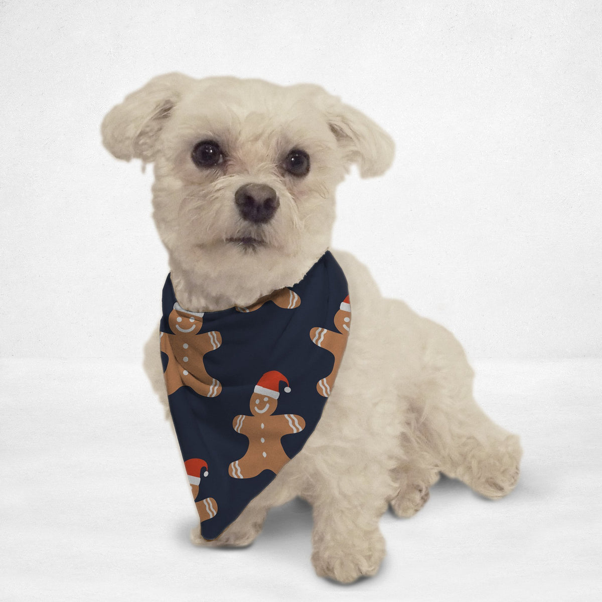 Gingerbread Cat & Dog Bandana