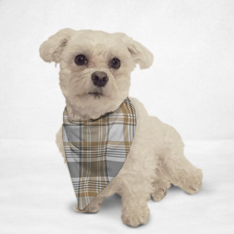 Golden Checkered Cat & Dog Bandana