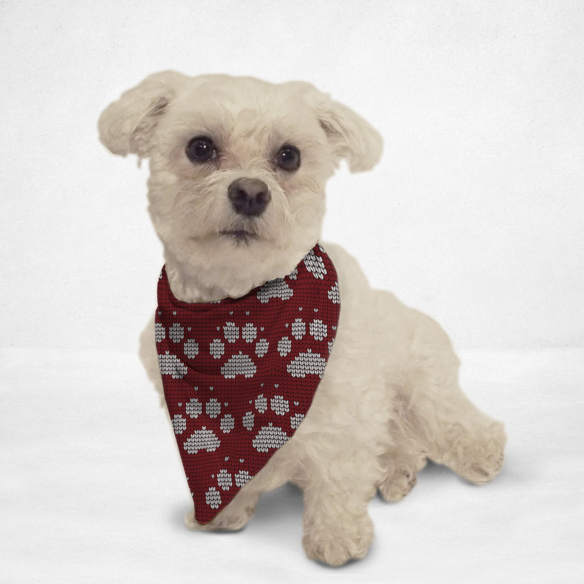 Paw Print Sweater Cat & Dog Bandana