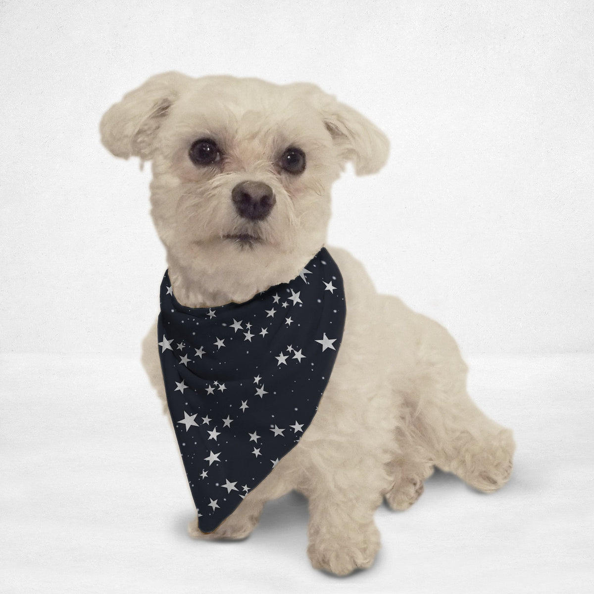 Stars at Night Cat & Dog Bandana