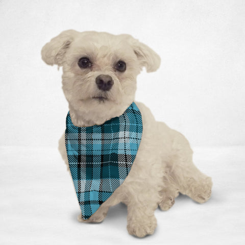 Blue Checkered Cat & Dog Bandana