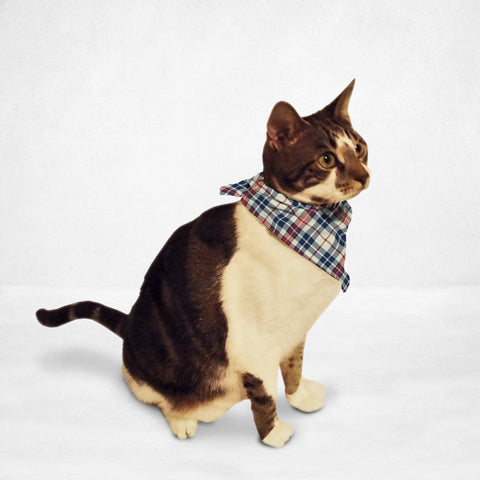 Light Plaid Cat & Dog Bandana