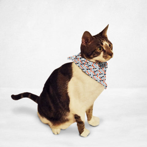 Wall of Treats Cat & Dog Bandana