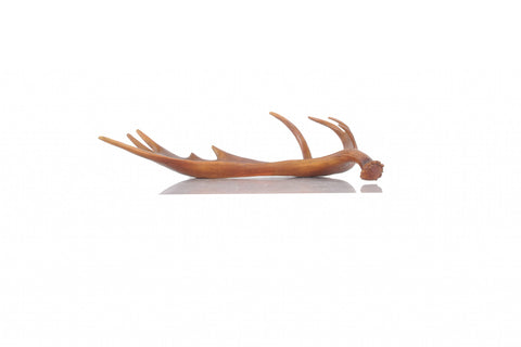 12" x 23.5" x 6.5" Deer Antler Tray