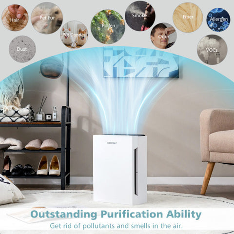 H13 True HEPA Air Purifier with Adjustable Wind Speeds