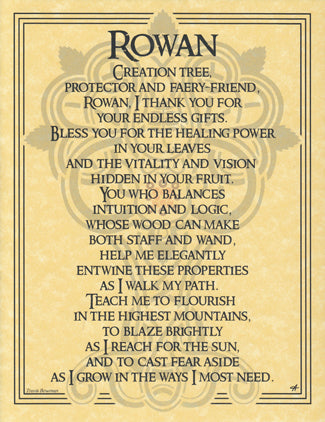 Rowan Tree Poster