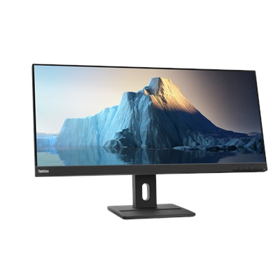 TS E29w 20 29'' HDMI Monitor