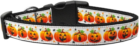 Pumpkin Parade Nylon Cat Collar